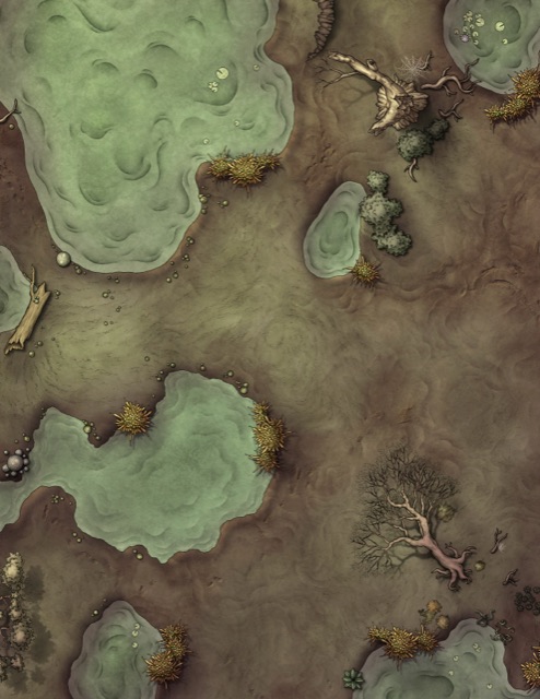 Murky Swamp