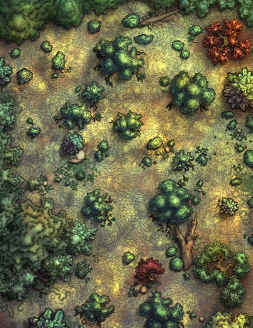 Dense Forest