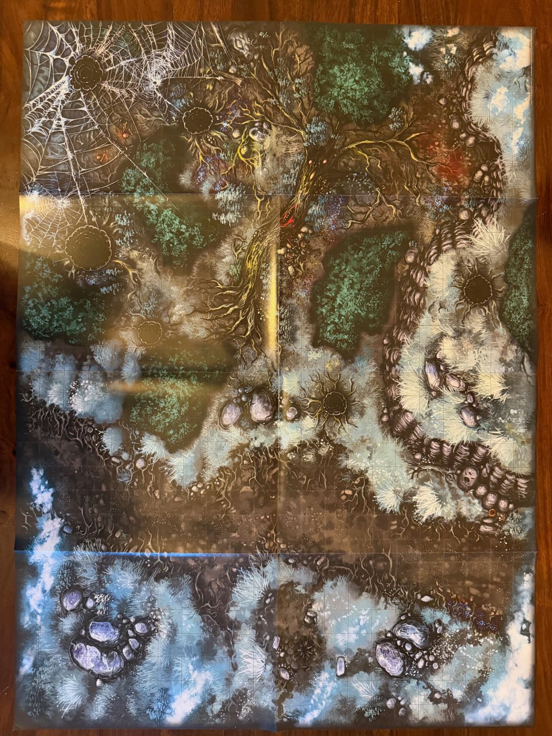 Webbed Woods