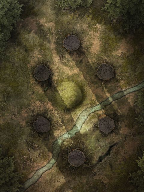 Redwood Grove